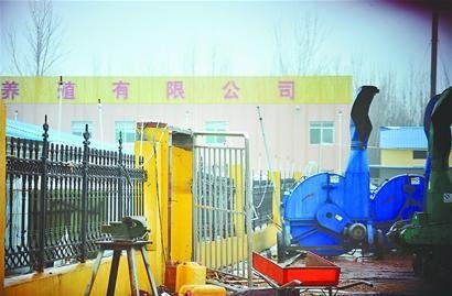 山東鄒平民間高利貸泛濫 30余人因債務(wù)糾紛被殺