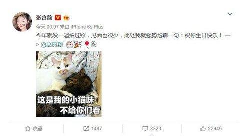 張含韻發(fā)微博為趙麗穎慶生被罵怎么回事